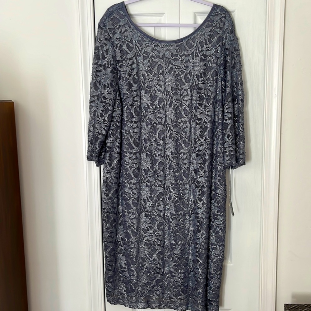NWT silvery lacy dream of a dress